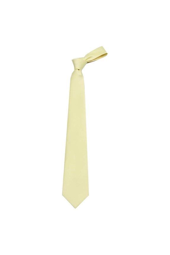 Solid Color Boy's Regular Necktie Tie- Many Colors Available