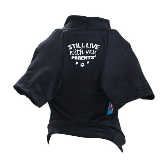 Solid Color Dog Pullover T-shirt for Medium Dogs to Large Dogs for Spring Basic Solid Color Cloth with Funny Words-