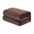 thumbnail image 1 of Solid Color Flannel Velvet Blanket Cover Gray 39.37x59.06 Inch Polyester, Super-Soft Thickened European Style Bed Decor, 1 of 6