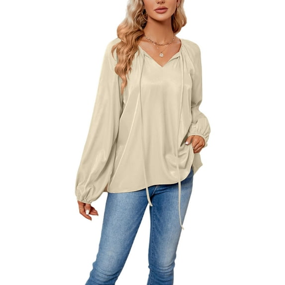 Solid Color Tie Neck Bishop Sleeve Loose Fit Blouse for Women Beige X-Large