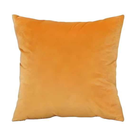 Solid Color Velvet Throw Pillow Cover Ultra Soft Decorative Large Lumbar Back Cushion Case Premium Home Decor Bedding Accessory Heavy Duty No Insert 16 x 16 Inch