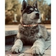thumbnail image 1 of Solid Copper Magnetic Dog Collar, Link Dog Collar, Chain Dog Collars, Pet Jewelry Decorations for Small Medium Large Dogs, Width:8mm, 1 of 4