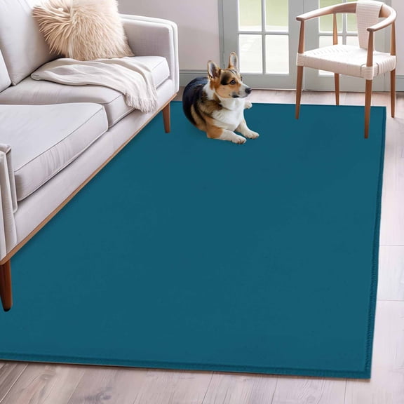 Solid Dark Area Rugs 3x5 ft Teal Washable Rug Non Slip Indoor Carpet Absorbent Floor Mat for Living Room Bedroom Dining Room