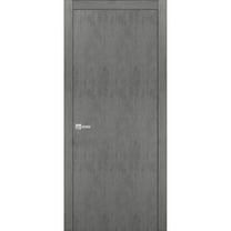 Solid French Door 28 x 80 inches | Planum 0010 Concrete | Single Regular Panel Frame Trims Handle | Bathroom Bedroom Sturdy Doors