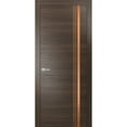 thumbnail image 1 of Modern Solid Interior Door with Handle | Planum 1010 Chocolate Ash | Single Regural Panel Frame Trims | Bathroom Bedroom Sturdy Doors-36" x 84", 1 of 6