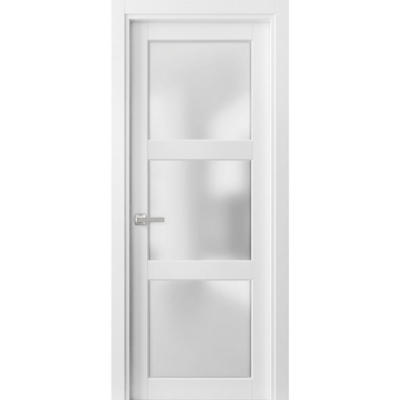 Solid French Door Frosted Glass 3 Lites 30 x 80 inches
