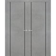 thumbnail image 1 of Solid French Double Doors 36 x 84 inches | Planum 0016 Concrete with Frosted Glass | Wood Solid Panel Frame Trims | Closet Bedroom Sturdy Doors, 1 of 6
