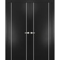 thumbnail image 1 of Solid French Double Doors 64 x 96 inches | Planum 0410 Matte Black with Frosted Glass | Wood Solid Panel Frame Trims | Closet Bedroom Sturdy Doors, 1 of 5