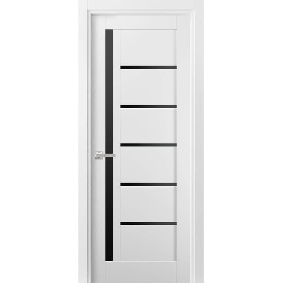 Solid Interior French Pre-Hung Door | Quadro 4588 White Silk with Black Glass | Single Regular Panel Frame Trims Handle | Bathroom Bedroom Sturdy Doors -24" x 96"-Black Glass