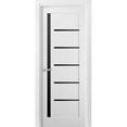 thumbnail image 1 of Solid Interior French | Quadro 4588 White Silk with Black Glass | Single Regular Panel Frame Trims Handle | Bathroom Bedroom Sturdy Doors -36" x 80"-Black Glass, 1 of 6
