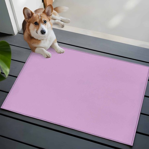 Solid Light Front Door Rugs 2x3 ft Purple Small Rug for Entryway Non Slip Washable Bathroom Door Mat Absorbent Floor Mat for Indoor Entrance