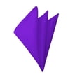thumbnail image 1 of Solid Plum Violet Handkerchief, 1 of 1