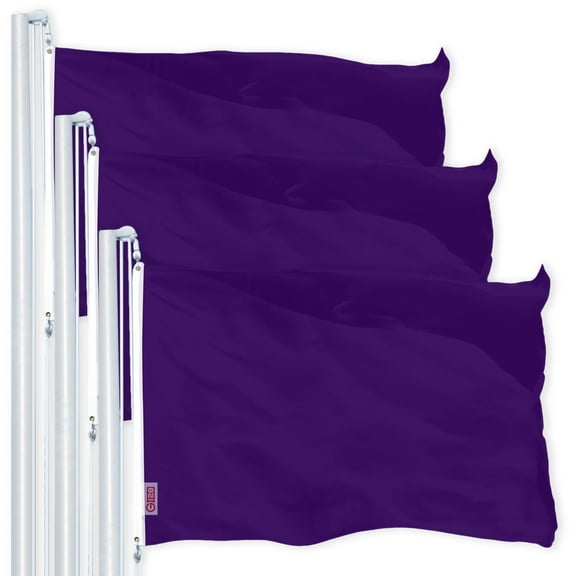 Solid Purple Color Flag 3x5FT 3-Pack Printed 150D Polyester By G128