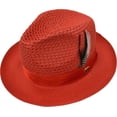 thumbnail image 1 of Men's Solid Lt. Blue Poly Braid Fedora By Bruno Capelo JU-910, 1 of 4