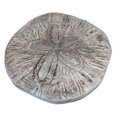 Solid Rock Stoneworks Sand Dollar Stepping Stone PreAged