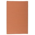 thumbnail image 1 of Solid Rug - Rust - 2 ft. x 5 ft., 1 of 1