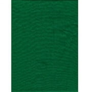 Solid Studio Backdrop 10 x 12 Chromakey Green