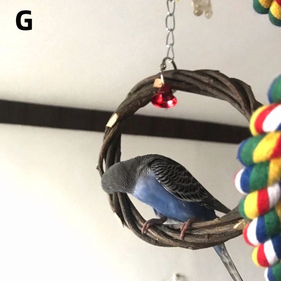 Solid Wood Parrot Stand Training Bird Stand Parrot Toy Wooden Pole Ladder Game Small Pet Interactive Amusement Park Desktop