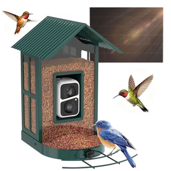 Soliom Metal Bird Feeder Camera, 2.7L Seed Capacity, AI Species Identification, 2K Live View, Instant Alerts, 5W Solar Panel, Squirrel-Proof, Green