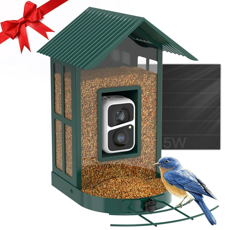 Soliom BF08 Smart Bird Feeder Camera with AI Identify Bird Species, Wild  Bird Watching Cam, Live View, Instant Notifications, 5W Solar Panel -Metal