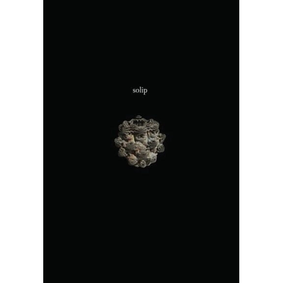 Solip (Paperback) by Ken Baumann