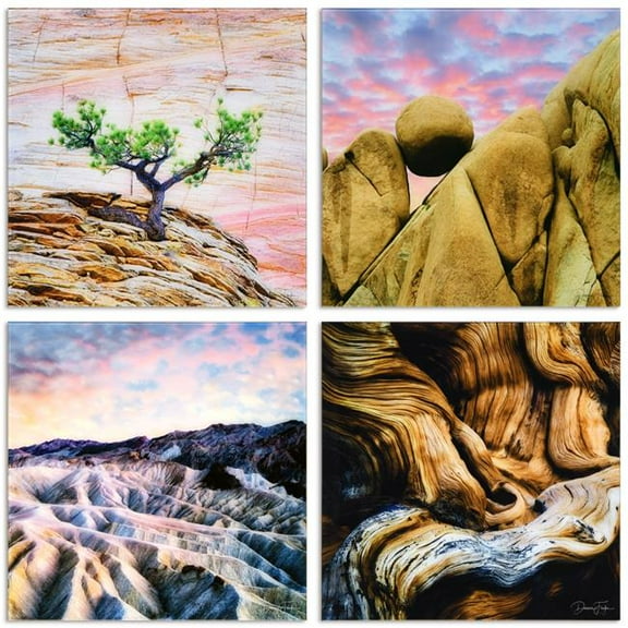 "Solitary Amplitude" Frameless Free Floating Reverse Printed Tempered Glass Nature Scapes Wall Art