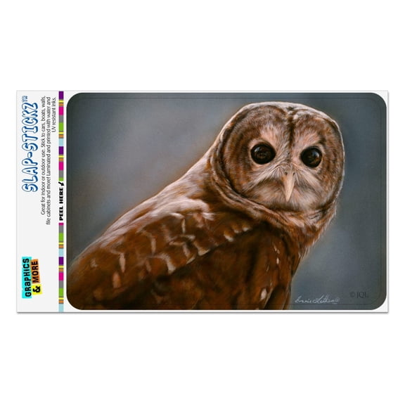 Solitary Barred Owl Home Business Office Sign
