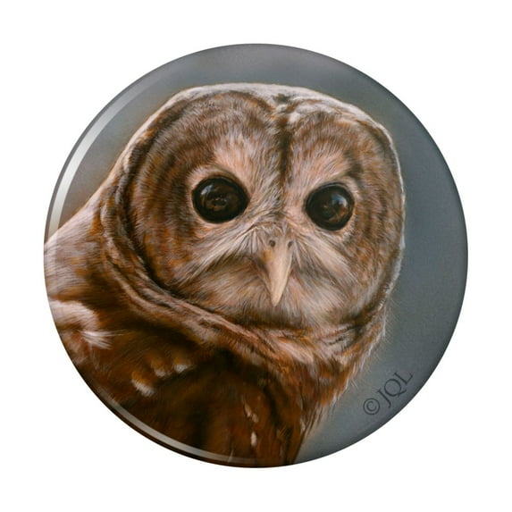 Solitary Barred Owl Kitchen Refrigerator Locker Button Magnet