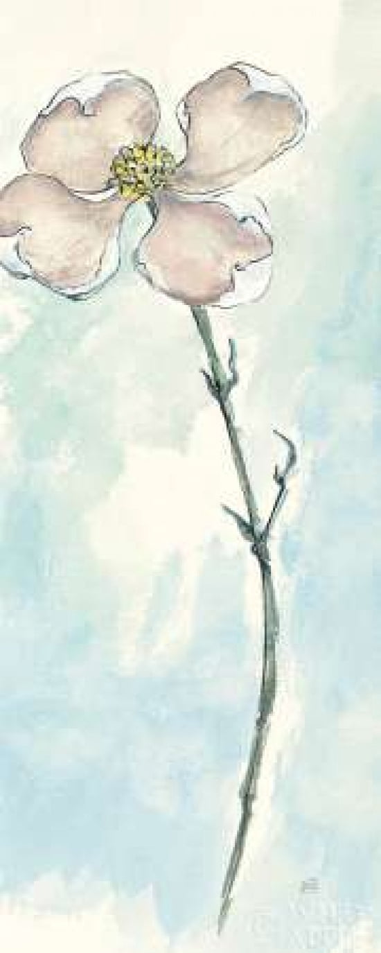 Solitary Dogwood III Canvas Art - Chris Paschke (10 x 20)