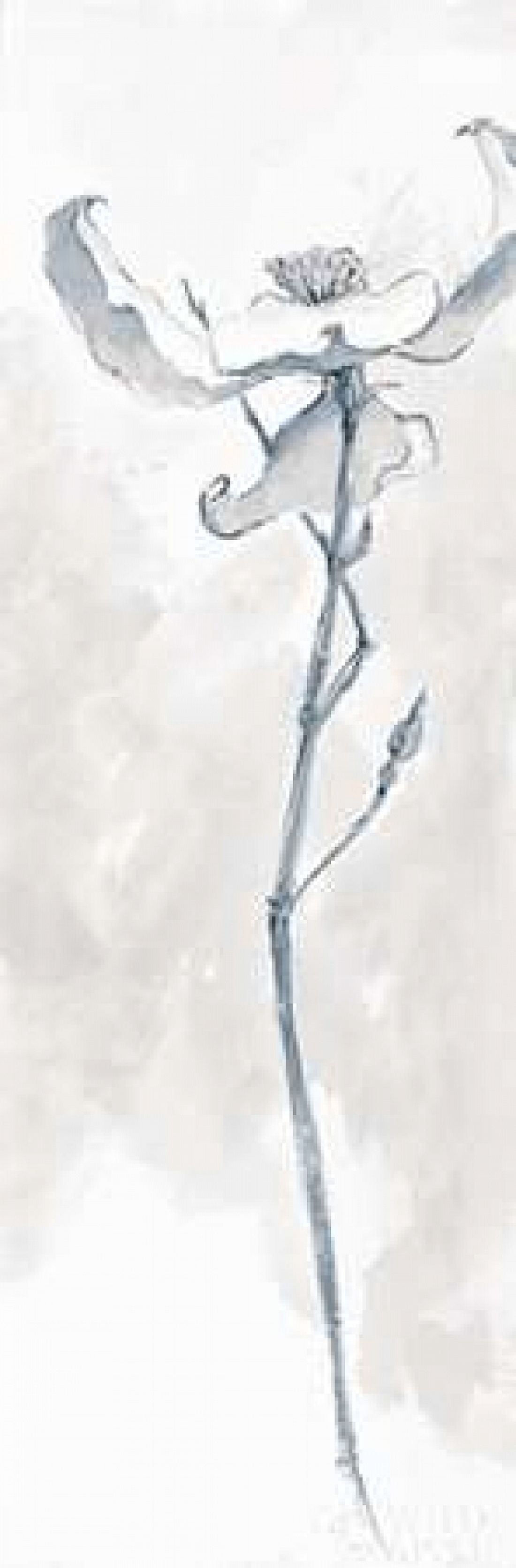 Solitary Dogwood IV Gray Canvas Art - Chris Paschke (8 x 24)