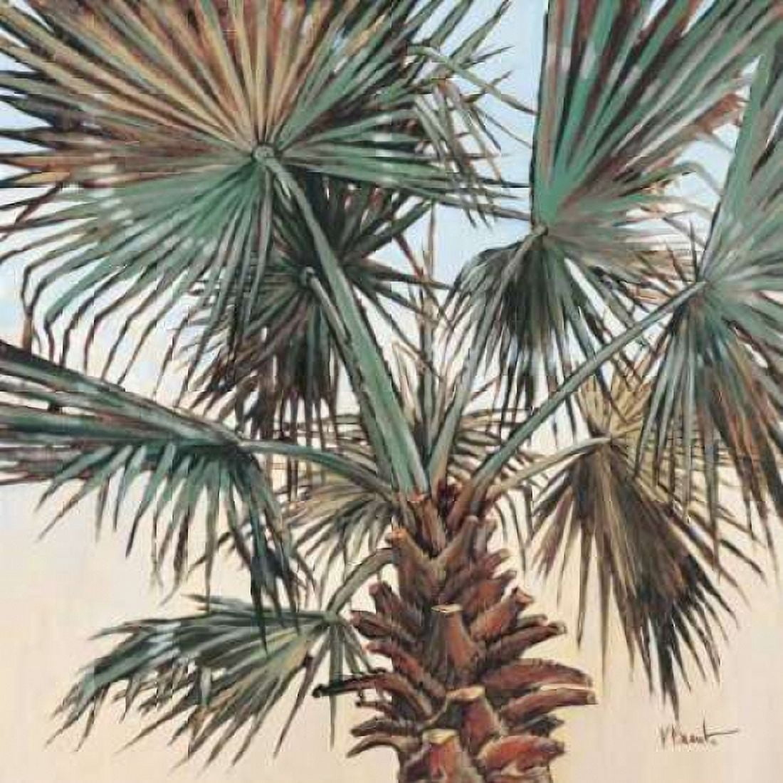 Solitary Palm Canvas Art - Paul Brent (24 x 24)