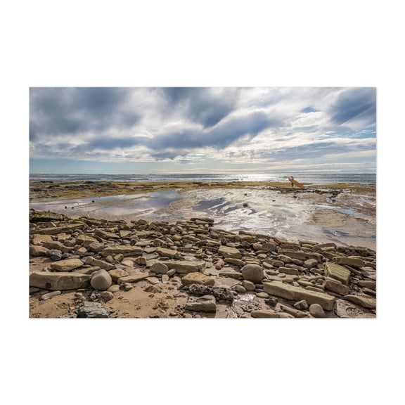 Solitary Surfer - San Diego California Photography Beach Surf Coast Seascape Surfboard Ocean Landscape Unframed Wall Art Print 4 x 6 inches