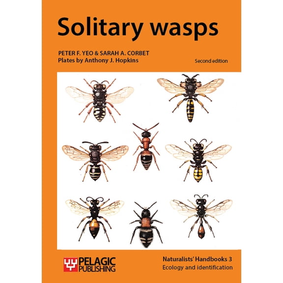 Solitary Wasps (Paperback)