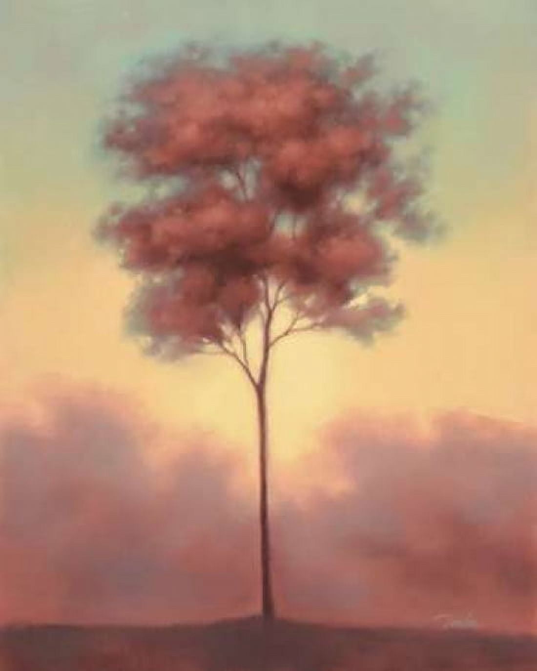 Solitude II Canvas Art - Darlou Gams (24 x 30)