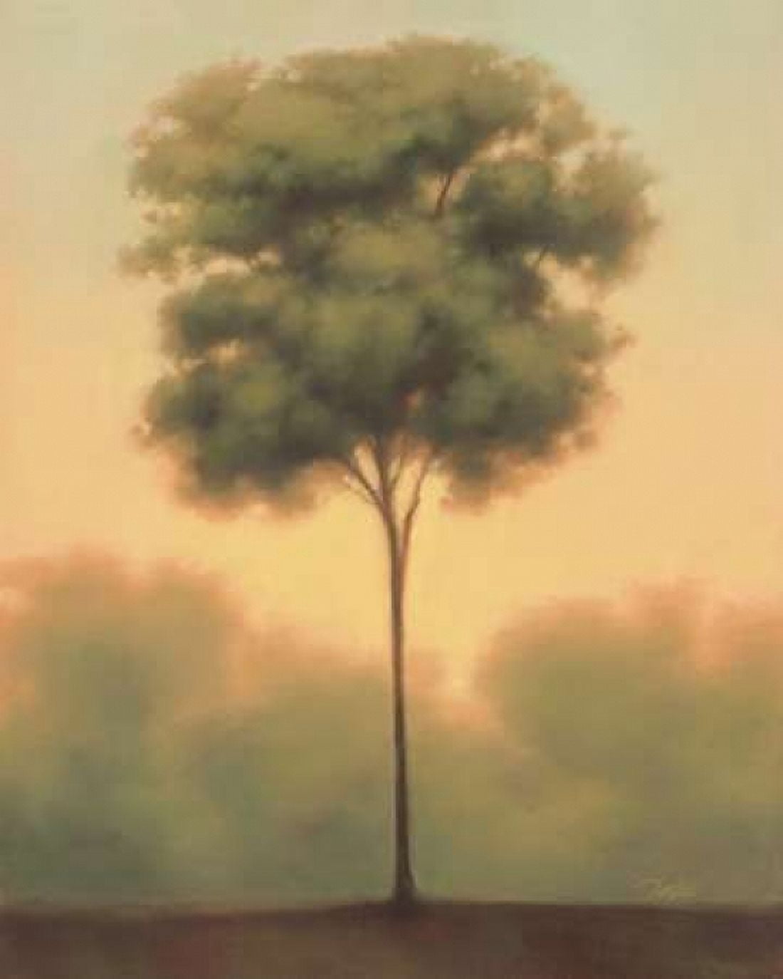 Solitude IV Canvas Art - Darlou Gams (24 x 30)