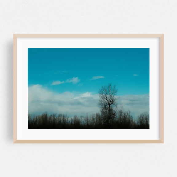 Solitude in Blue - Photography Nature Landscape Minimalist Wilderness Scenic Winter Woodland Oak Framed Wall Art Print 24 x 36 inches