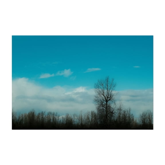 Solitude in Blue - Photography Nature Landscape Minimalist Wilderness Scenic Winter Woodland Unframed Wall Art Print 40 x 60 inches