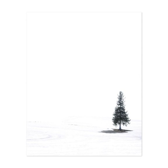 Solitude in the Snow - Hokkaido Japan Photography Minimalist Winter Snow Nature Landscape Scenic Unframed Wall Art Print 8 x 10 inches