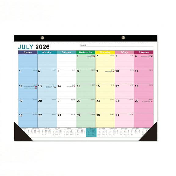 Solivara 19 Month Wall Calendar June 2026 To December 2027 Large Thick Paper Colorful For Home And Office(White-A,one size)