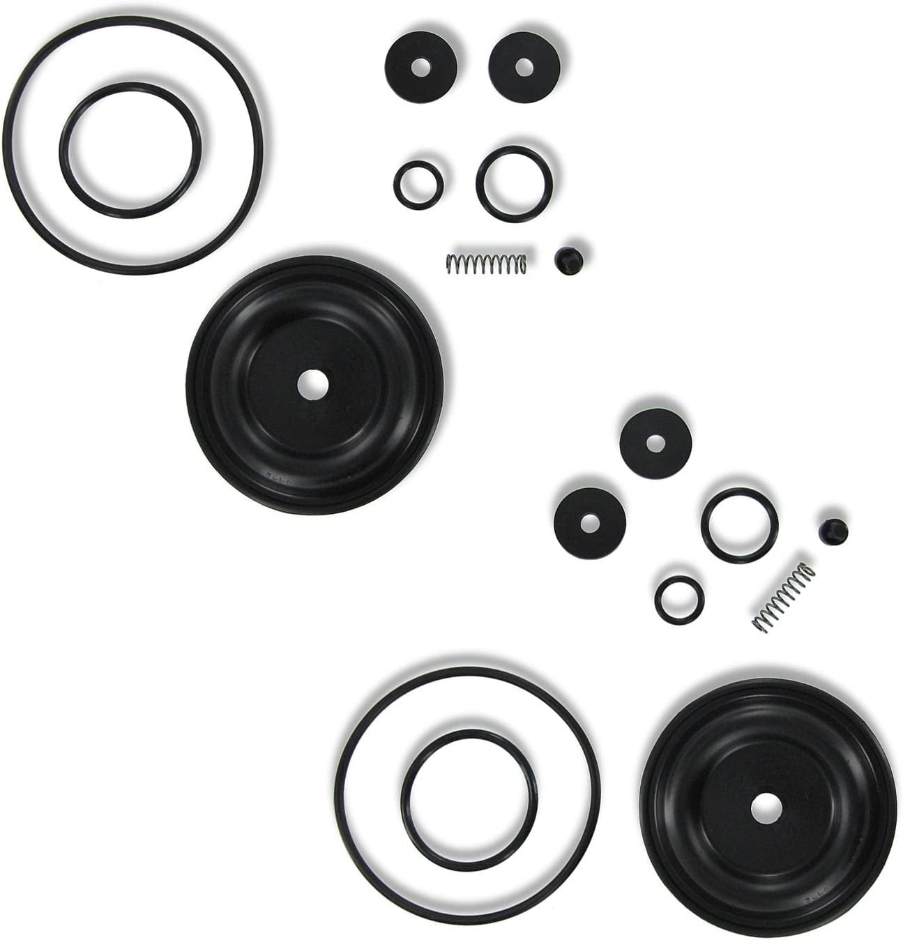 Solo 0610406K Sprayer Diaphragm Pump Repair Kit Pack of 2