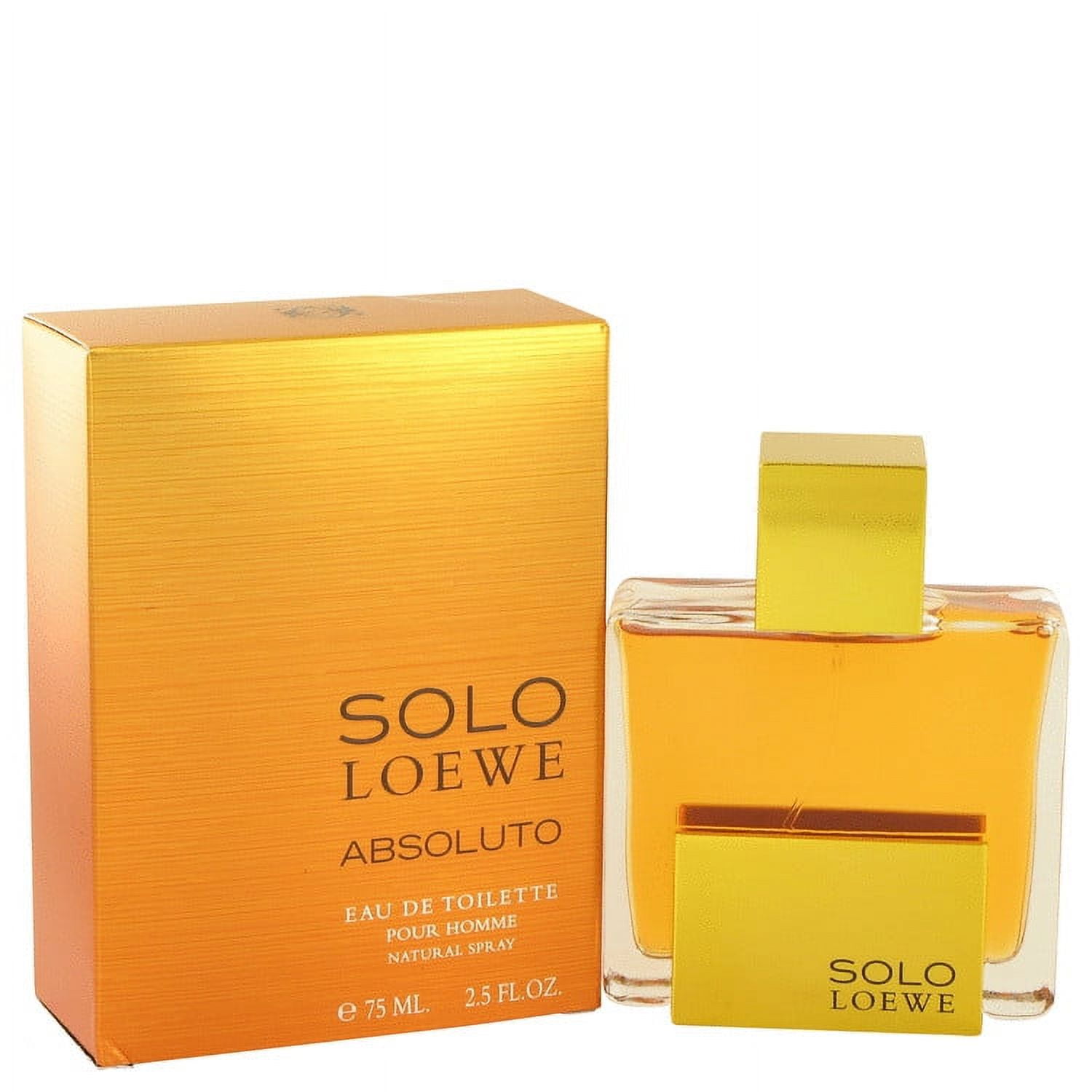 Loewe solo loewe clearance absoluto