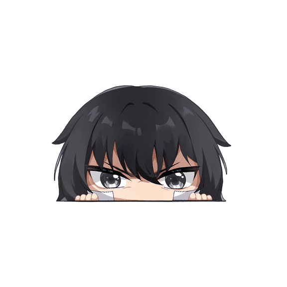 SOLO LEVELING: Sung Jin-woo Peeker Chibi Peeker Anime Manga Decal Stickers for Cars Laptop Skateboard Wall Decor UV Resistant