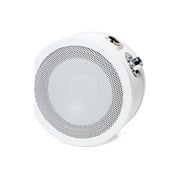 Solomon LoFReQ Sub Dynamic Microphone White