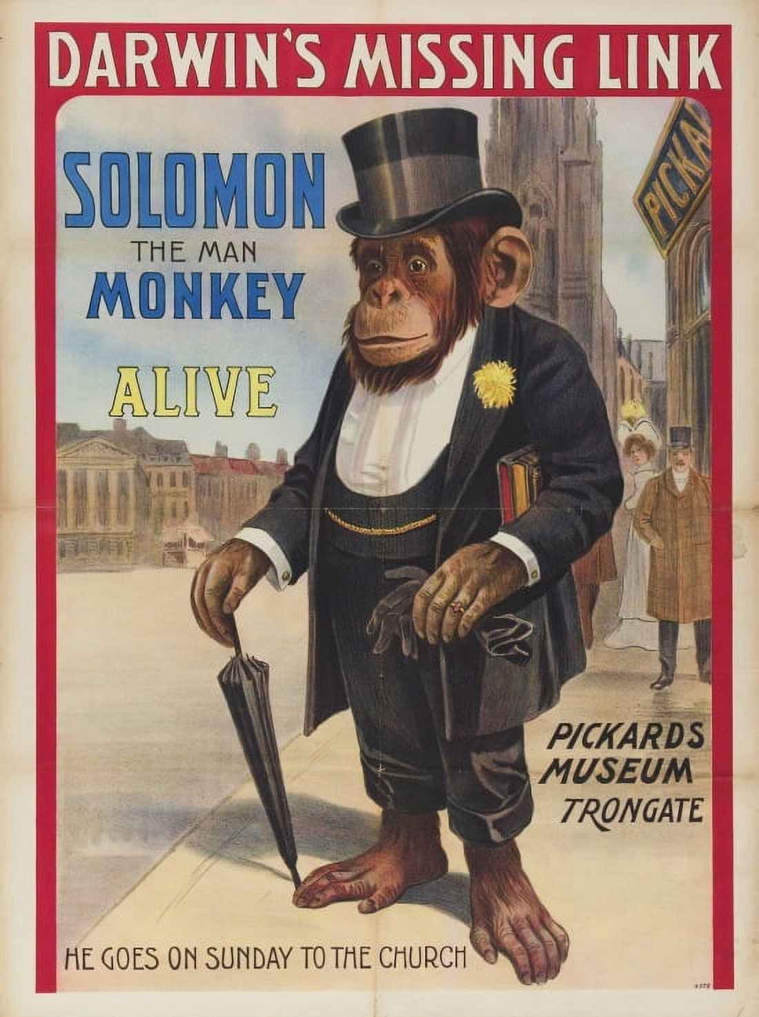 Solomon The Man Monkey Canvas Art - (18 x 24)