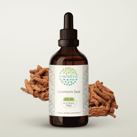 HerbEra Solomon's Seal Tincture, Herbal Dietary Supplement for Joint Support, Solomon's Seal (Polygonatum odoratum) Dried Root Extract, Natural, Alcohol-Free, Drops 4 oz