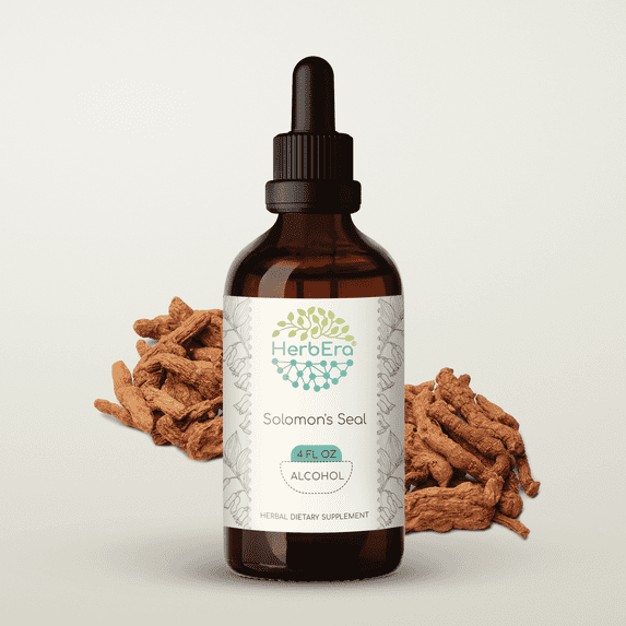HerbEra Solomon's Seal Tincture, Herbal Dietary Supplement for Joint Support, Solomon's Seal (Polygonatum odoratum) Dried Root Extract, Natural, Alcohol Tincture, Drops 4 oz