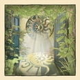 thumbnail image 1 of Solstice - Light Up - Music & Performance - CD, 1 of 1