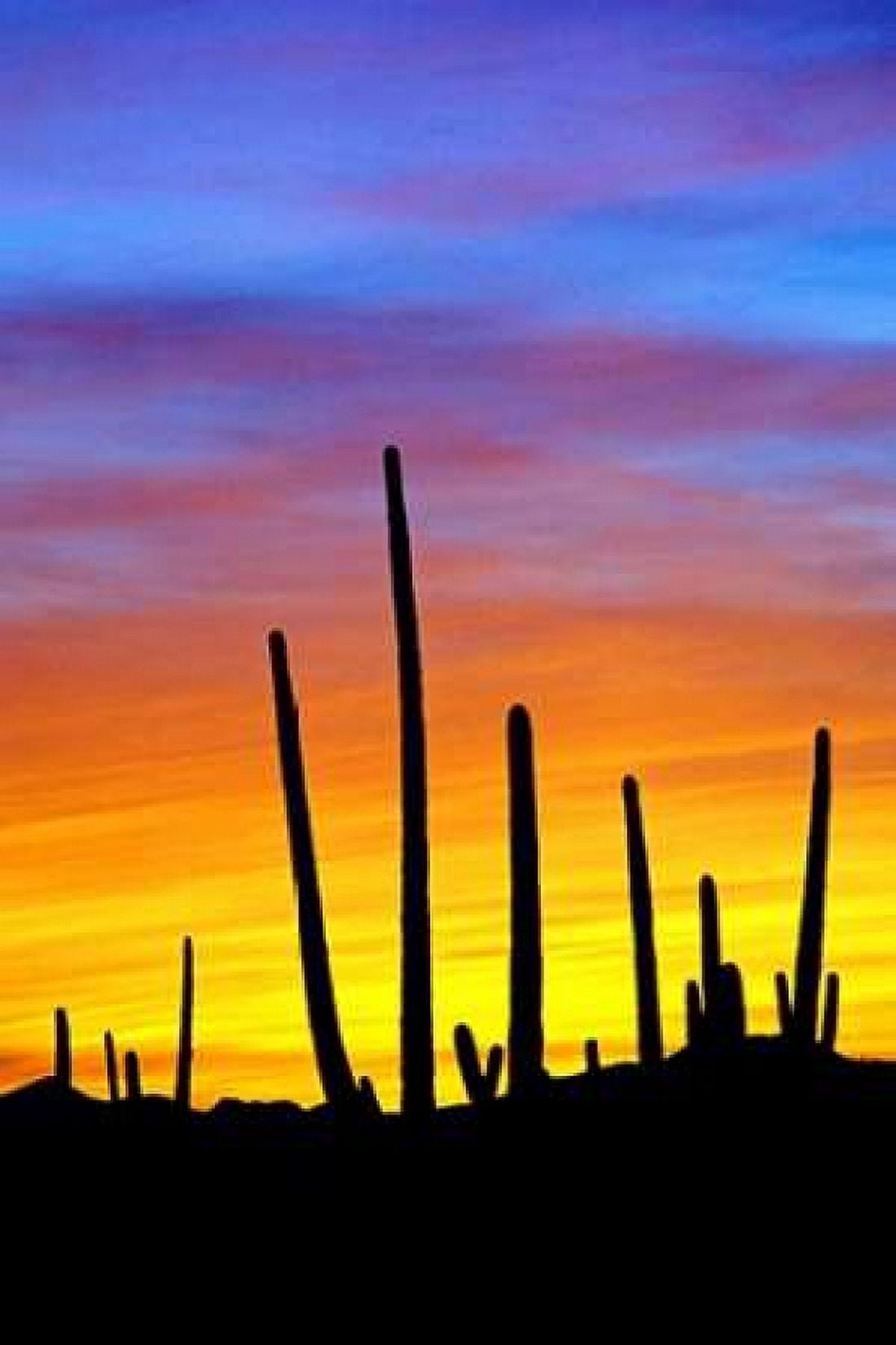 Solstice Sunset Canvas Art - Douglas Taylor (12 x 18)