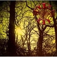 thumbnail image 1 of Solstice, 1 of 1