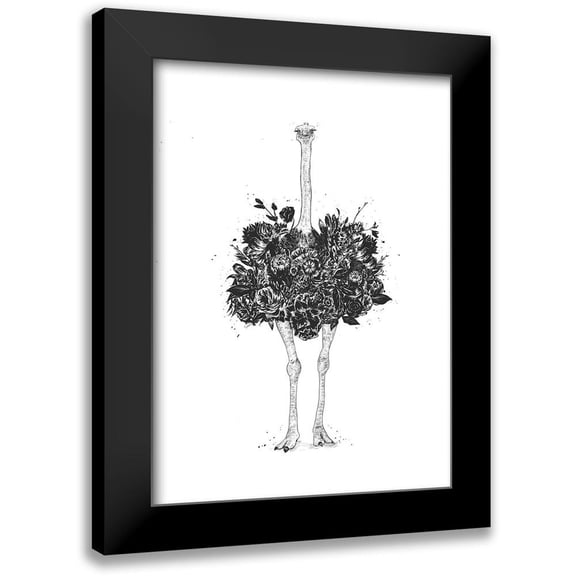 Solti, Balazs 11x14 Black Modern Framed Museum Art Print Titled - Floral Ostrich